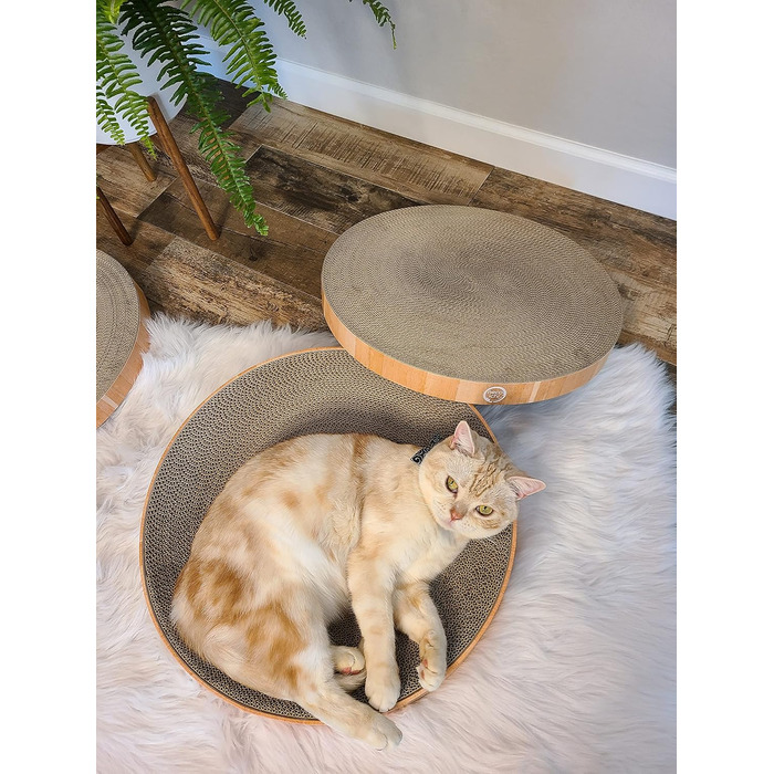 Кігтеточка-лежанка Necoichi Cozy Kratznapf для котів, 1.31 кг (підкладка дуб, Regular)