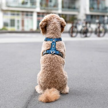 Шлейка для собак DOG Copenhagen Comfort Walk Air 3.0, чорна, розмір M