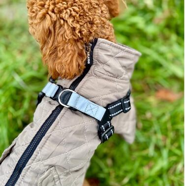Теплий водонепроникний зимовий пуховик для собак Lalzoo LUVI 2-в-1 з інтегрованим нашийником – для маленьких та середніх собак, світлодіодна куртка, бежевий, розмір S