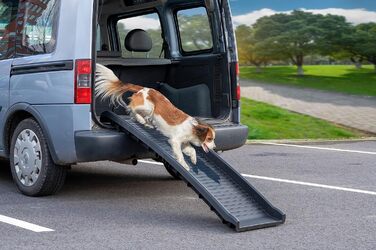 Рампа для собак у багажник авто: складана, 155 см