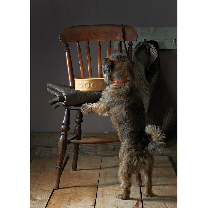 Миска для собак Mason Cash Original Cane з написом 