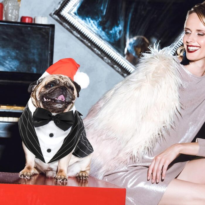 Костюм для собак 