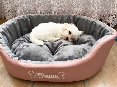 Вольєр для собак Lovedog, багатоколірний, 60 см x 50 см
