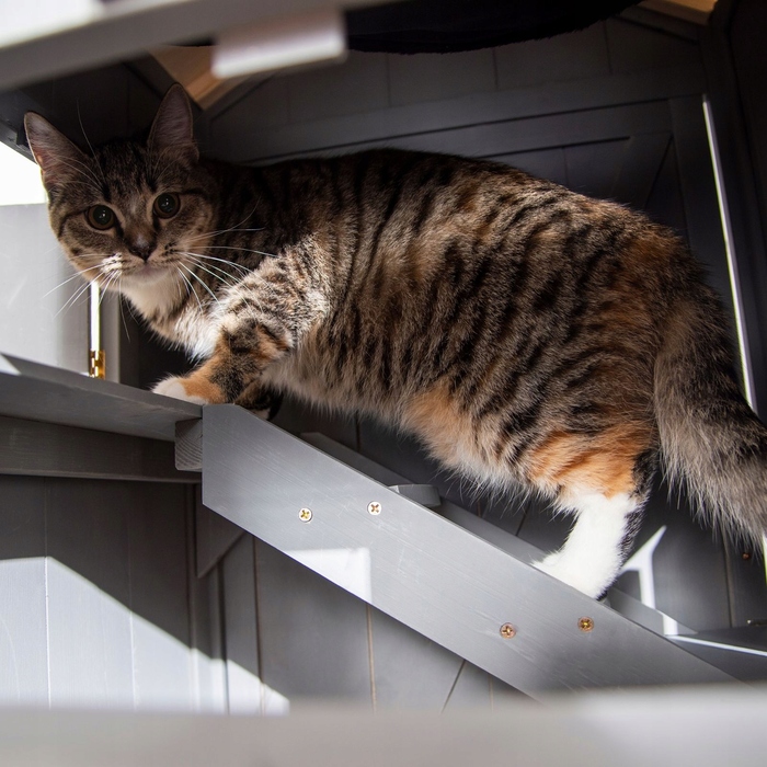 Будиночок-шафа для кота з лотком, дерево, 59x55x109 см, сірий