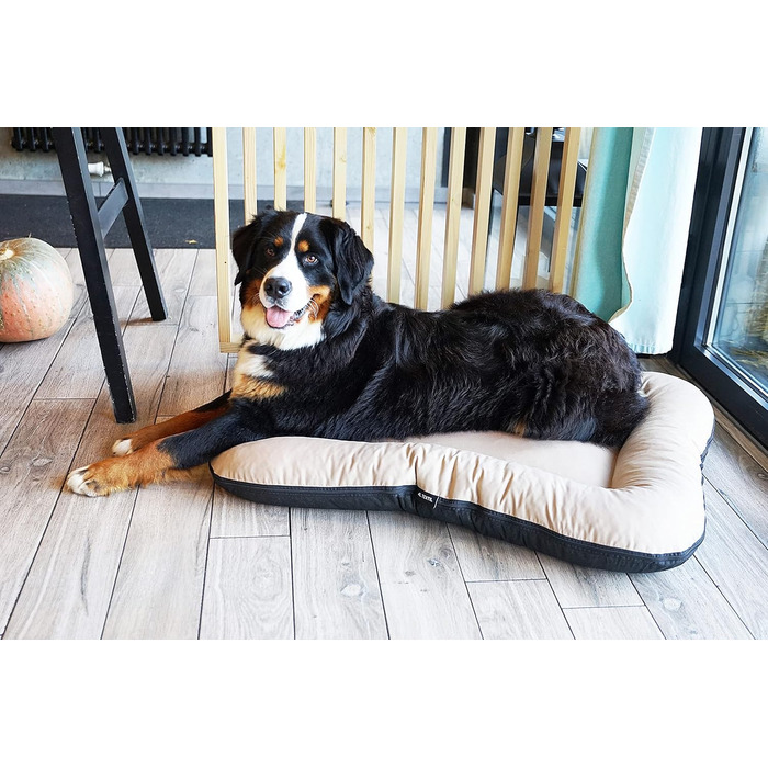 Ліжко для собак середніх порід 80x60 см, бежеве, знімний чохол, 4L Textil KLEO