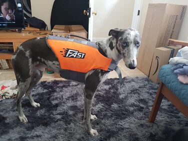 Жилет рятувальний для собак Ownpets, XL, помаранчевий