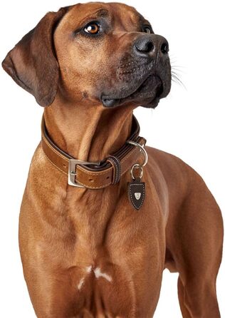 Нашийник для собак Hunter Tara, шкіряний, юхт-шкіра, міцний, стійкий до погодних умов, розмір M (55 см), колір коньяк/темно-коричневий