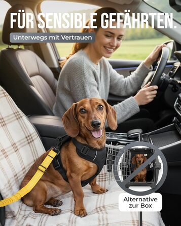 Автогурт для собак 'Argo' – регульований, з амортизацією та ISOFIX, для всіх порід (S, жовтий, 35-45 см)