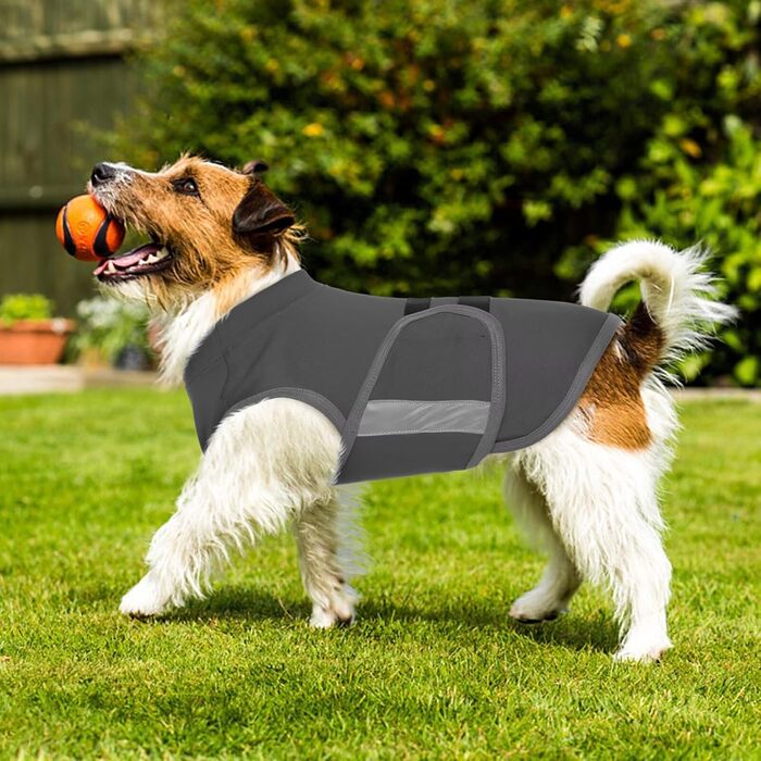 Жилет-заспокійник для собак IECOii, сірий, регульований, з світловідбиваючими смугами, для маленьких собак, S (XS: обхват грудей 30-41 см)