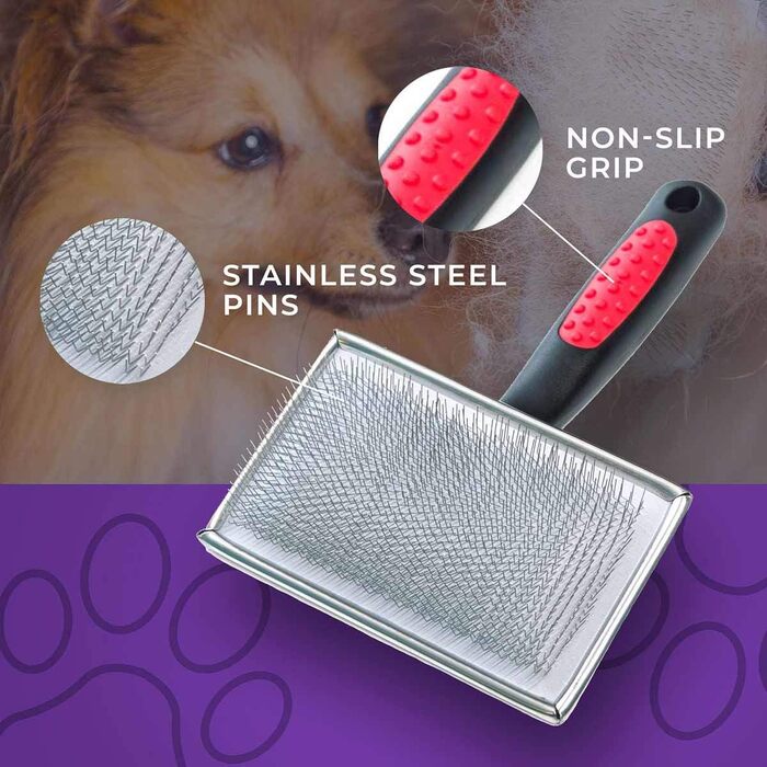 Професійна щітка для короткошерстих собак Ryan's Pet Supplies Paw Brothers, середня, 8,9x4,1 см, з покритими кінчиками, м'яка до шкіри