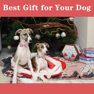 Нашийник для собак з метеликом Unique Style Paws, регульований, рожевий, сітка, для собак та котів (M, 1 шт.)