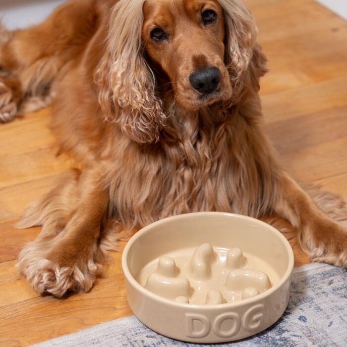 Миска для собак Mason Cash Cane Keramik для повільного годування, кераміка, підвищені борозни, для здорового травлення, довговічна, придатна для миття в посудомийній машині, для собак маленьких, середніх та великих порід