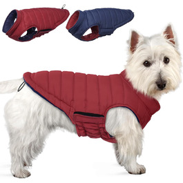 колір: гниль