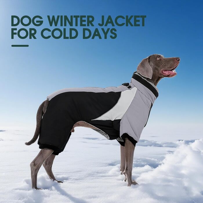 Водонепроникний собачий плащ Kuoser для маленьких собак - теплий зимовий плащ з шлейкою та світловідбиваючими деталями, чорний, розмір M