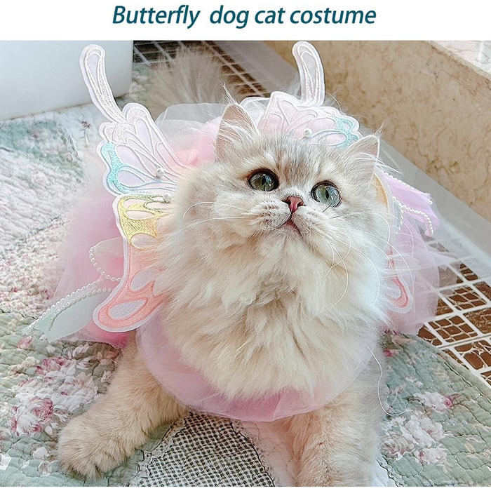 Костюм для собак 