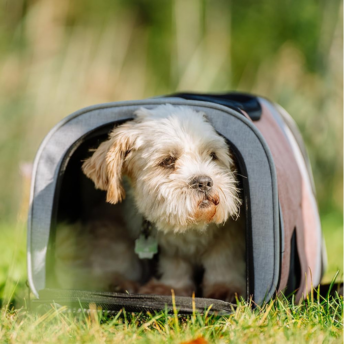 Рюкзак Nobby Plata Altrosa-grau, 34 x 30 x 43 см