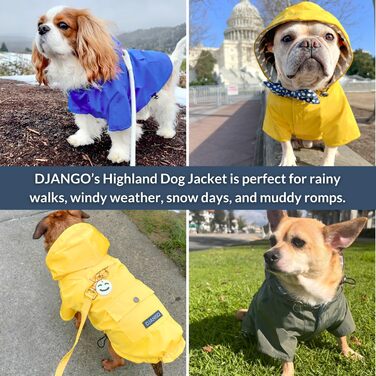 Водонепроникний собачий дощовик DJANGO Highland з капюшоном, оливковий, розмір M, для малих та середніх собак, з отвором для шлейки, зручний підклад, кишеня на спині