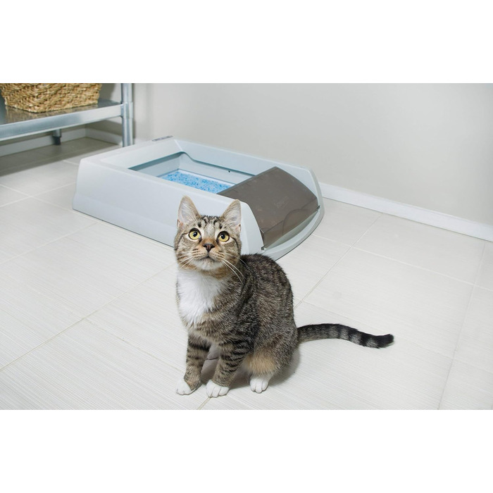 PetSafe самочистяча котяча туалетна коробка ScoopFree Original з одноразовим лотком, неклубкувальний наповнювач, до 30 днів без заміни