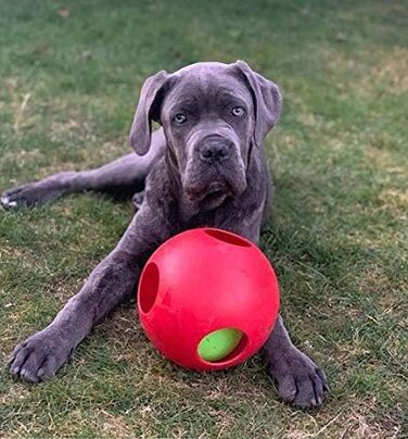 Іграшка для собак Jolly Pets Teaser Ball 20 см, червона