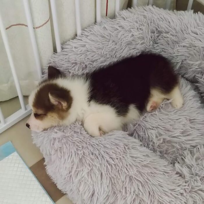 Ортопедичне ліжко для собак, кругле м'яке гніздище для собак та котів, з водонепроникним дном, біле Ø 50 см (світло-сірий, 90 см)