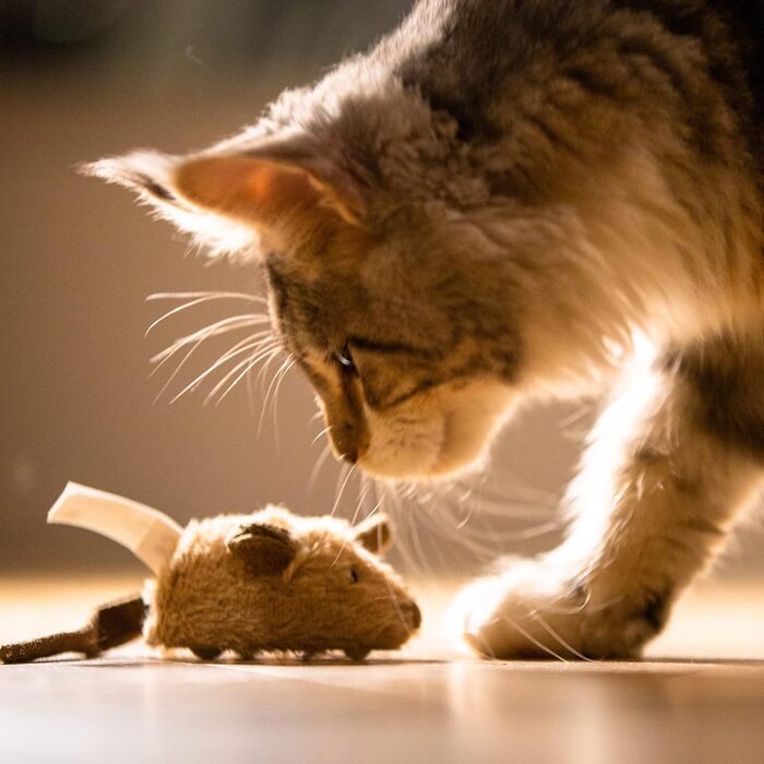 Іграшка для котів SuHaco GiGwi Melody Chaser: інтерактивна мишка з дрижанням, коричнева