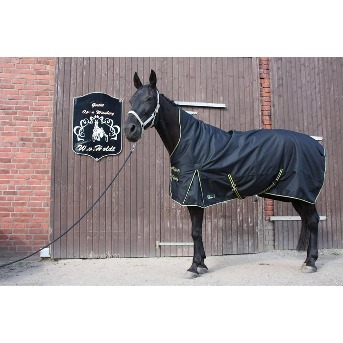 Зимова кінська попона time4horses з високим коміром, утеплена 200 г, водонепроникна, 1200D