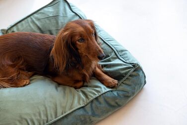 Подушка для собак Lotte Nalino, велюр, сіра, 70x55x15 см