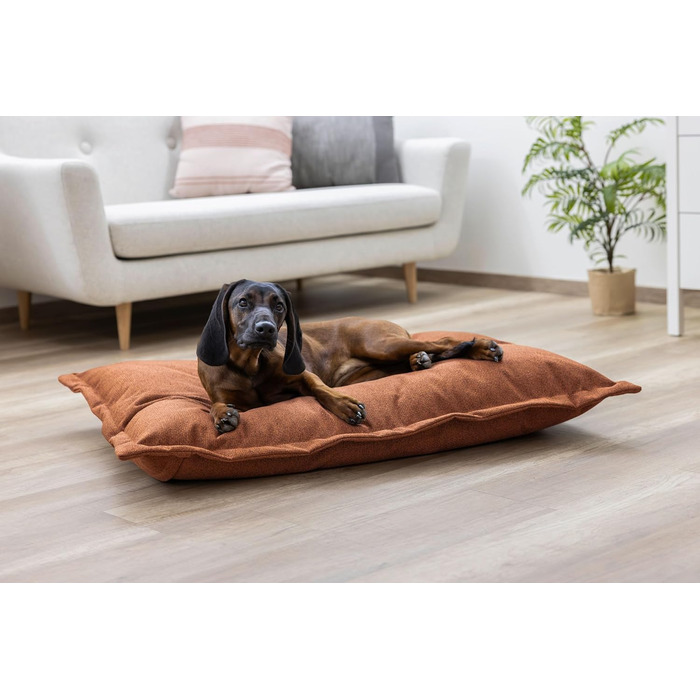 Матрац для собак Kerbl Oliver з піною з пам'яті, ортопедичний, для собак з проблемами суглобів, знімний чохол, виготовлено в Італії, коричневий, 80x50x8 см