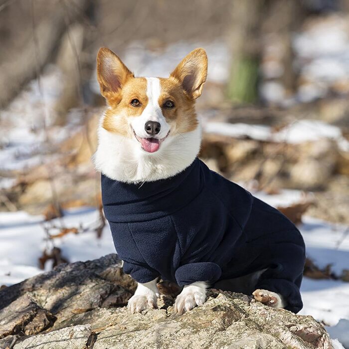 Зимова тепла куртка для собак, флісова підкладка, захист від вітру, регульована застібка, для малих та середніх собак, прогулянки, відпочинок, XXS