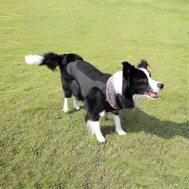 Водонепроникний зимовий одяг для собак - тепла куртка з флісовою підкладкою | Зимовий одяг для собак, водонепроникний та вітронепроникний, з регульованими ремінцями, теплий, з флісовою підкладкою, для маленьких, середніх собак
