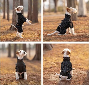 Водонепроникний комплект для собак BT Bear: жилет, дощовик, жилетка, XL, чорний