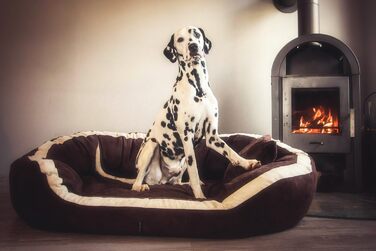 Ортопедичне ліжко для собак Tierlando® Pepper, ліжко-софа для собак, XL, велюр, сірий, 110 см, велике та м'яке