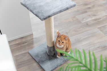 Дряпка для котів TRIXIE Baena, 69 см, середньо-сіра - 43371