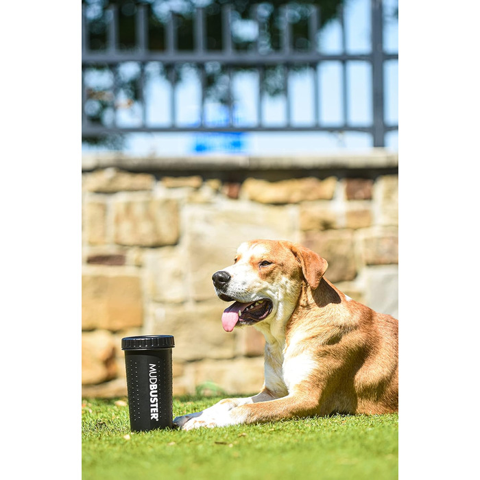 Dexas MudBuster: портативний очищувач лап для собак, чорний, розмір M