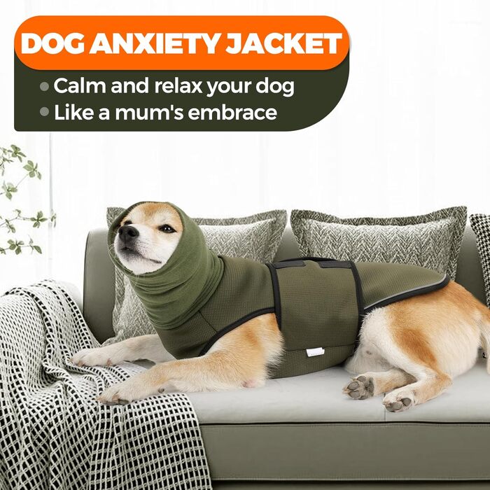 Заспокійливий жилет для собак Heywean з капюшоном та захистом вух, антистресовий, XL, оливковий
