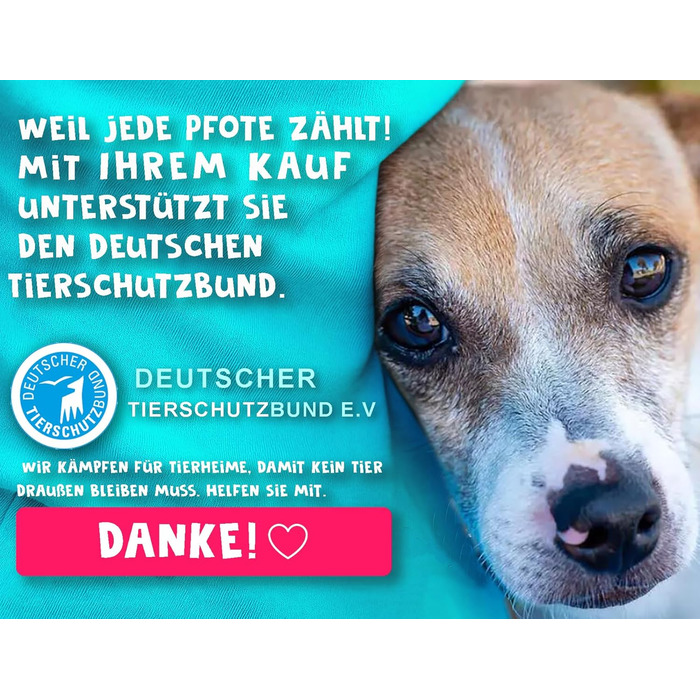 Набір з 2-х: велика складана пляшка для води для собак + щітка для зубів | Пляшка для собак 800 мл | Без витоку