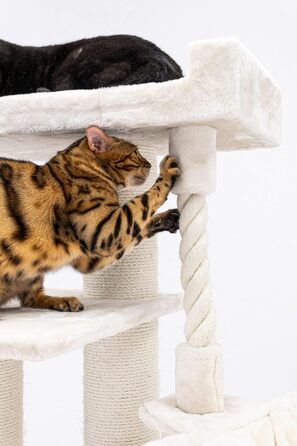Дряпка для котів Petrebels Parklane 175 см, преміум, з XXL гамаком, спальним будиночком, диваном і товстими стовпами, бежево-кремова