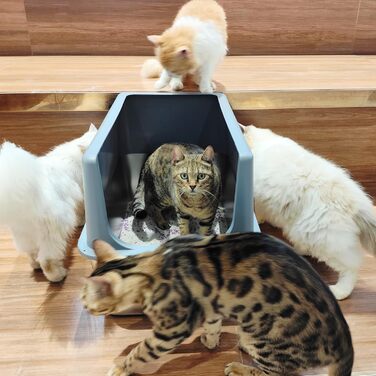 Котячий туалет LIHOOOOM XXL з нержавіючої сталі з кришкою, високими бортиками, для великих котів, легке очищення, сіра кришка, 40,5 см