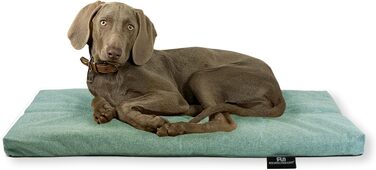Лежанка для собак Rohrschneider, Made in EU, з антиковзким покриттям, для собак маленьких, середніх та великих порід, також для котів, з мискою, розмір 1 (120 x 75 x 7 см, блакитний)