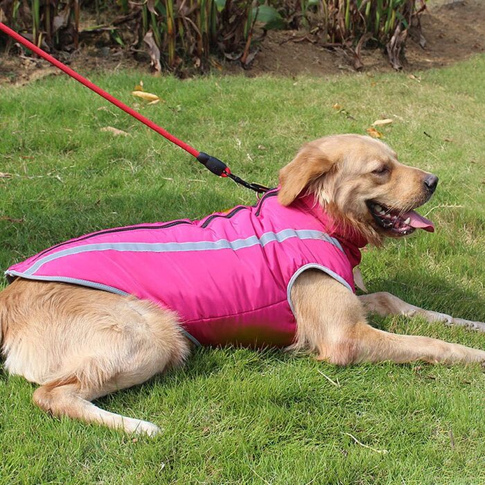 Водонепроникний теплий зимовий одяг для собак середніх та великих порід PETCUTE (3XL, обхват грудей 67 см, обхват спини 50 см) Рожевий