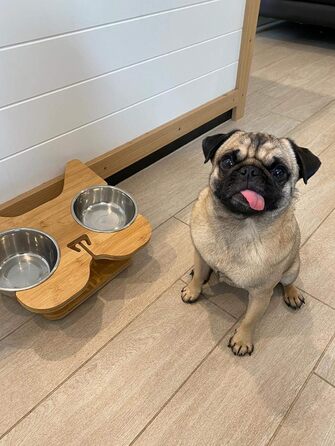 Підставка для мисок NibbleyPets з нержавіючої сталі, набір 3-в-1 для корму та води, для французьких бульдогів і мопсів