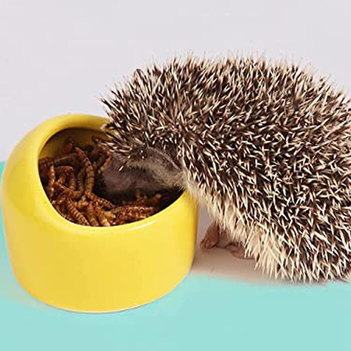 Набори мисок для тварин Yuemuop (3 шт.) з кераміки, антивандальні, для хом'яків, рептилій, черепах та інших домашніх тварин. Миски для їжі та води.