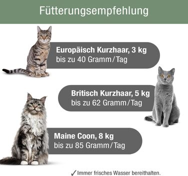 Сухий корм для стерилізованих котів PLATINUM MeatCrisp з куркою, 1.5 кг
