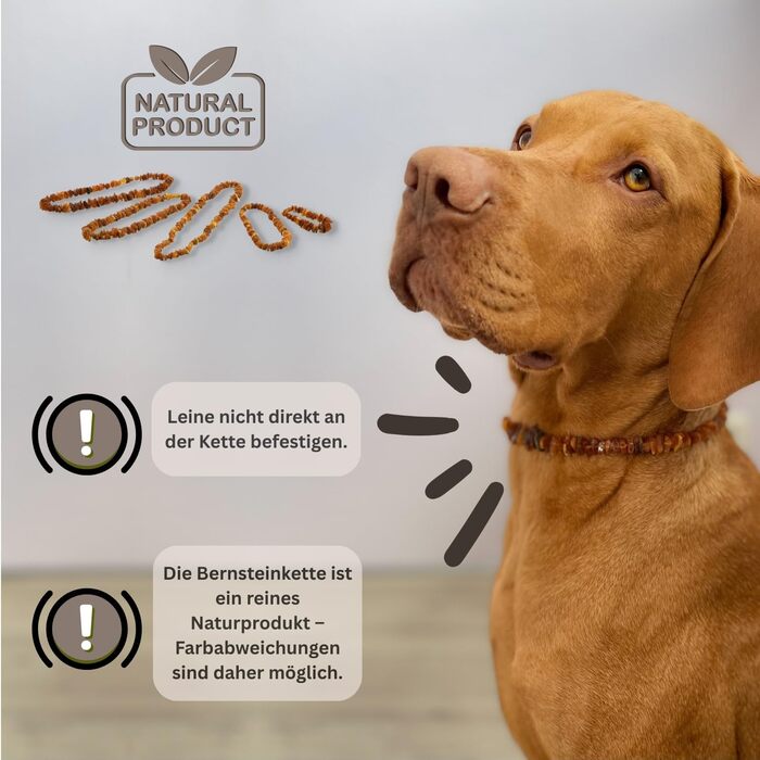 Намисто з бурштину для собак PetLove • 100% балтійський бурштин • Обов'язкове для собак та котів • Довжина: 50-55 см