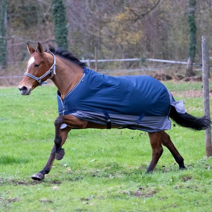 Зимова попона для коня Equi-Theme 50г, 600D TYREX, синя/сіра, 125 см