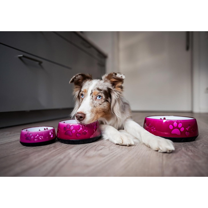 Миска для собак велика та маленька - годівниця/поїлка S/M/L з неслизьким дном (M 1010мл для середніх собак, рожева) M 1010мл (середні собаки) Рожева
