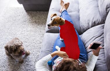 Теплий в'язаний пуловер для собак з коміром-горловиною, однотонний, для цуценят та собак середніх розмірів (зелений, розмір S/M). Також доступні: великий розмір, червоний, однотонні моделі Getaway Solids.