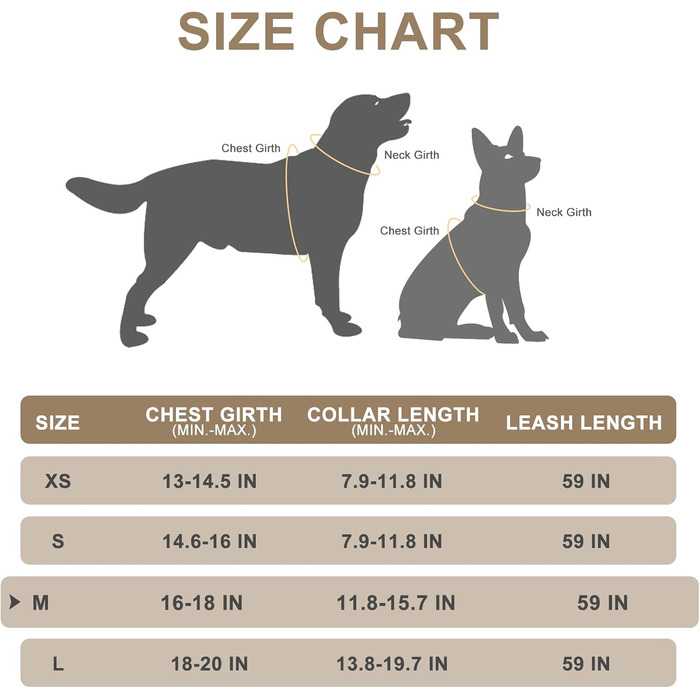 Нашийник та поводок для собак ExPawlorer – класичний вишуканий комплект для середніх собак, сірий колір, не тягне, регульований, надійний для прогулянок