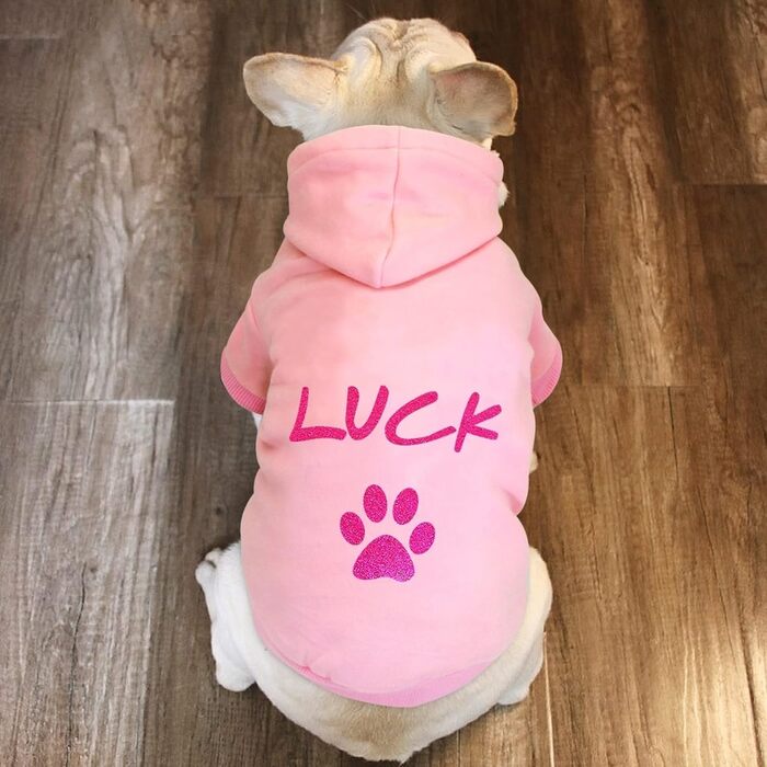 Зимовий теплий одяг для собак: куртки, светри, аксесуари. Розмір 2XL, сірий колір