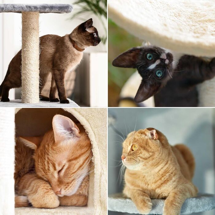 Котячий дряпак-кактус світло-сірий 172 см, з будиночком, лежаком, іграшками та сизалем, меблі для котів